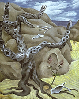 Mexican Desert Landsapes, Last Lupin