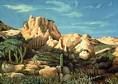 Mexican Desert Landscapes, Sunlight Sweep