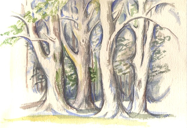 Trees Sketch