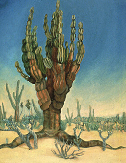 Mexican Desert Landscape Paintings, Great Cordon